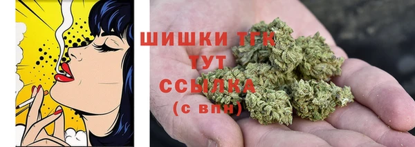 прущая мука Нея
