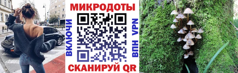 что такое   Шебекино  Галлюциногенные грибы Psilocybine cubensis 